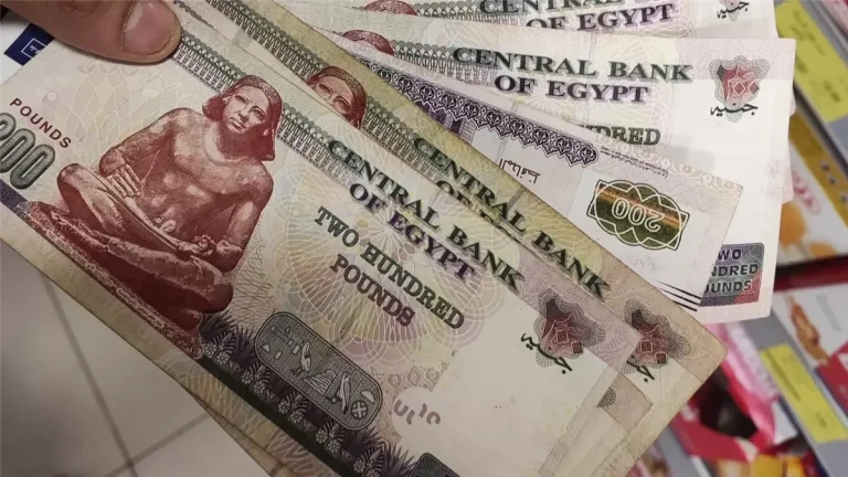 موعد صرف تكافل وكرامة شهر نوفمبر 2025 بالزيادة الجديدة والمقررة من الوزارة