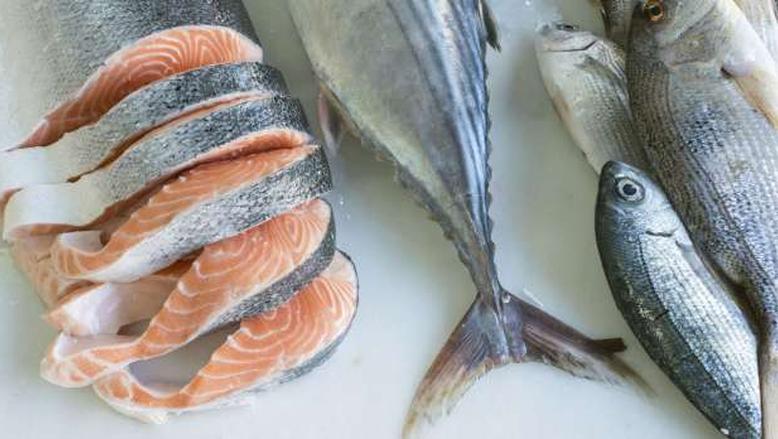 الأسعار تبدأ من 50 جنية للكيلو! .. أسعار السمك اليوم في جميع المحافظات بتاريخ 26 من نوفمبر