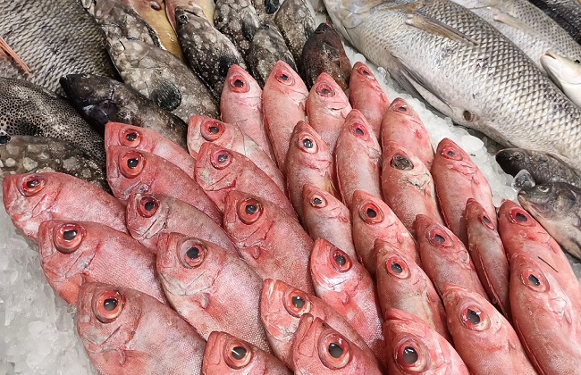 وصل كام في سوق العبور ؟.. أسعار السمك بعد التراجع الأخير بتاريخ اليوم 30 نوفمبر 2025