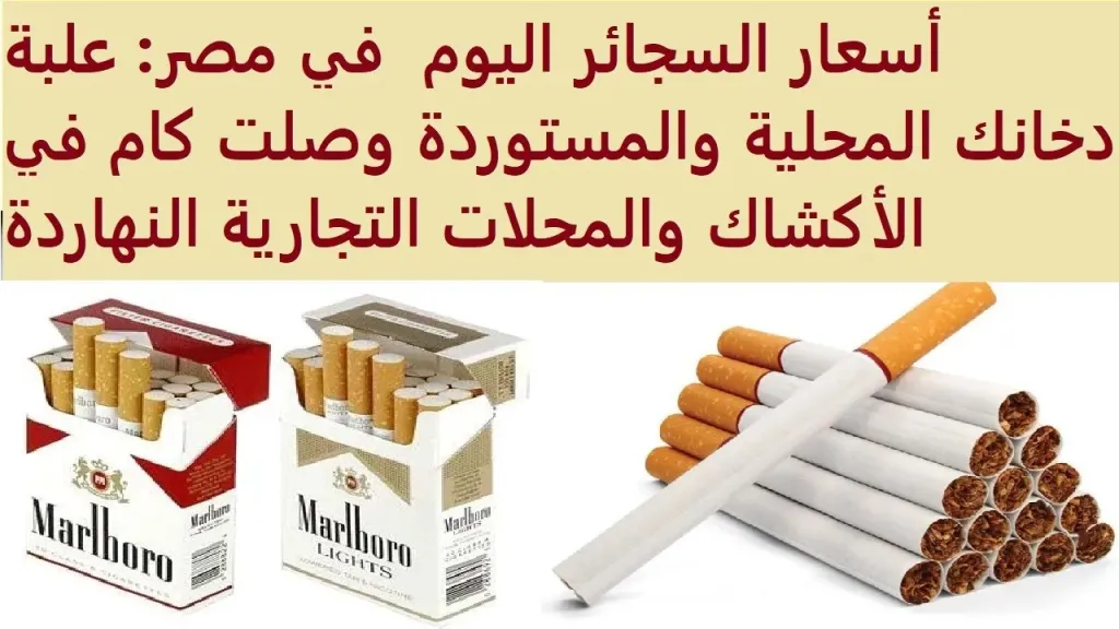 زيادة جديدة في أسعار السجائر اليوم نسبة 12% .. أعرف أخر تحديث للأسعار اليوم 29 من نوفمبر