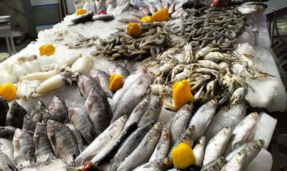 أخر تحديث لأسعار السمك اليوم والجمبري في جميع المحافظات بتاريخ 24 نوفمبر 2025