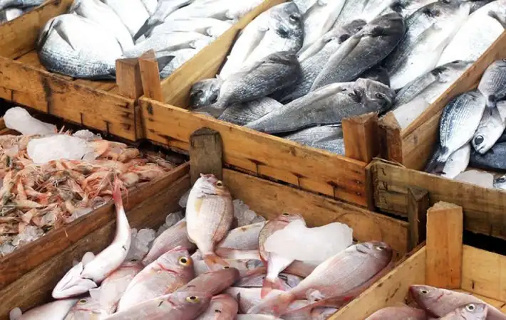 بحري يا بحري .. أعملي أحلى سفرة سي فود بعد تراجع أسعار السمك في مصر اليوم 25 نوفمبر 2025