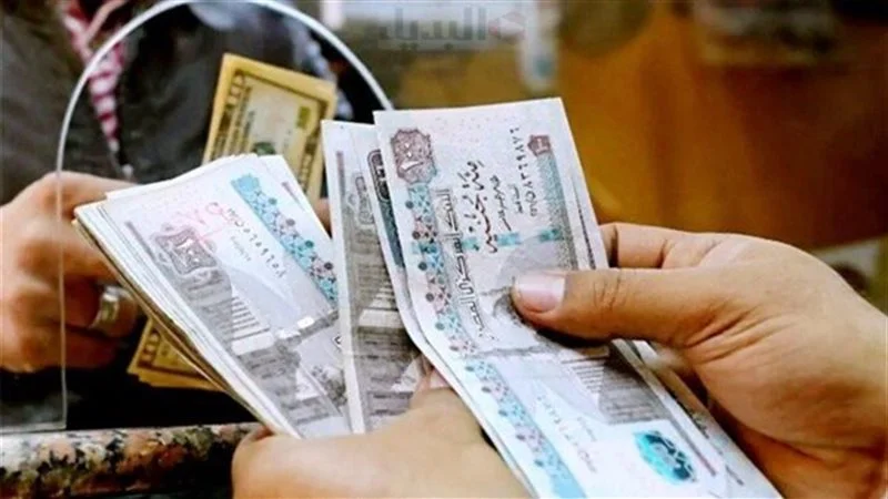 كم باقي على صرف الرواتب بعد تداول تبكير الإيداع ؟.. المالية المصرية تٌجيب