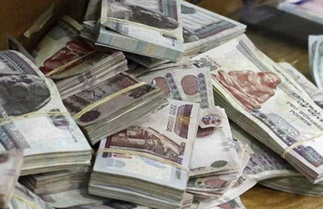 ما حقيقة زيادة مرتبات شهر ديسمبر 15٪ بحد أدنى 550 جنية لكل موظف مصري ؟.. الوزارة توضح