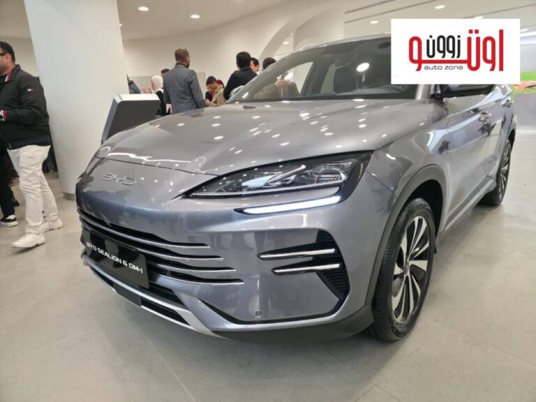 أسعار صيانة بي واي دي سي ليون 6 DMI في مصر لدى أوتوزون