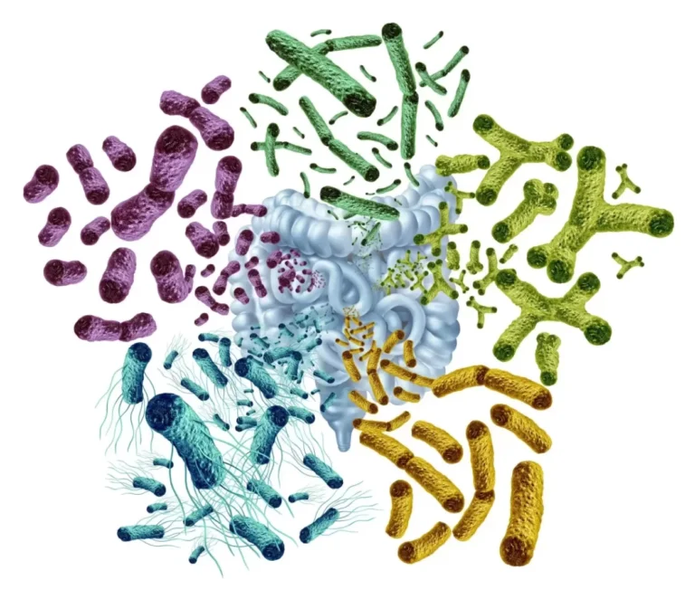 استخدام البكتيريا المعدلة لتوصيل بروتينات استهدفت الخلايا السرطانية