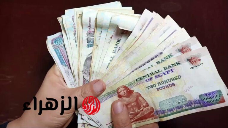 أحسب هتقبض كام.. الحكومة تعلن موعد زيادة المعاشات رسميًا في هذا التاريخ