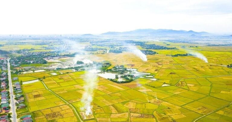 زخات مطر وعواصف رعدية في بعض المناطق مع سماء مشمسة نهاراً