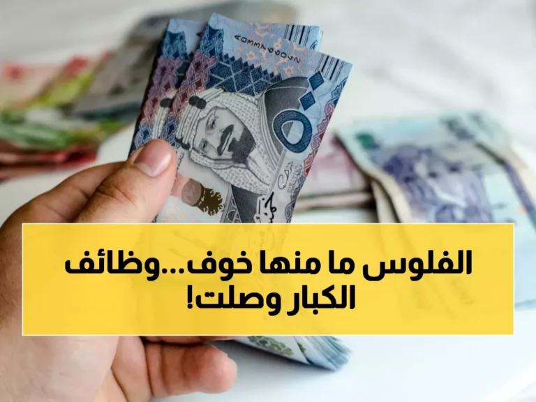 ارتفاع الصادرات غير النفطية يساهم في فرص عمل مثيرة برواتب جذابة في 3 قطاعات