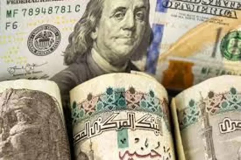 استقرار قيمة الدولار أمام الجنيه المصري في ختام تعاملات اليوم