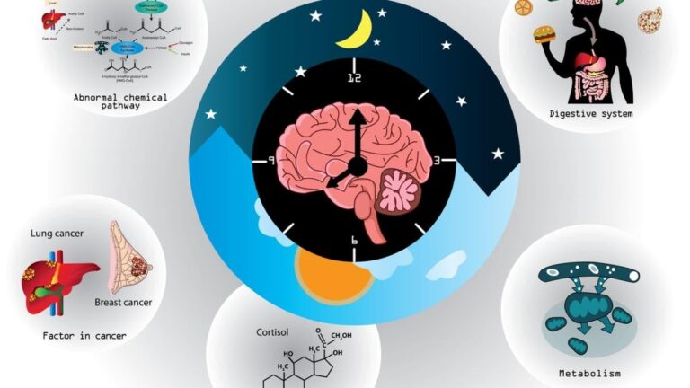 تأثير اضطراب الساعة البيولوجية على زيادة مخاطر السمنة والسكري