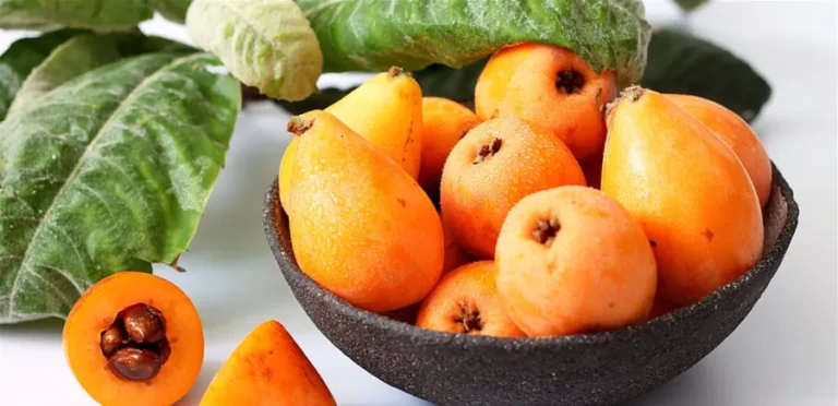 الأكادنيا فاكهة الربيع التي تحمل فوائد مذهلة لا يعرفها الكثيرون