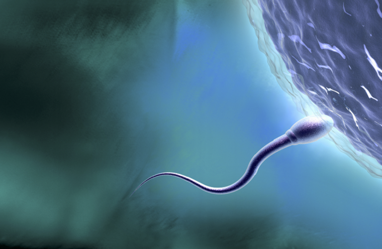 اكتشافات جديدة تكشف آلية غير متوقعة تؤثر على البلوغ والخصوبة في ثورة علمية لفهم العقم