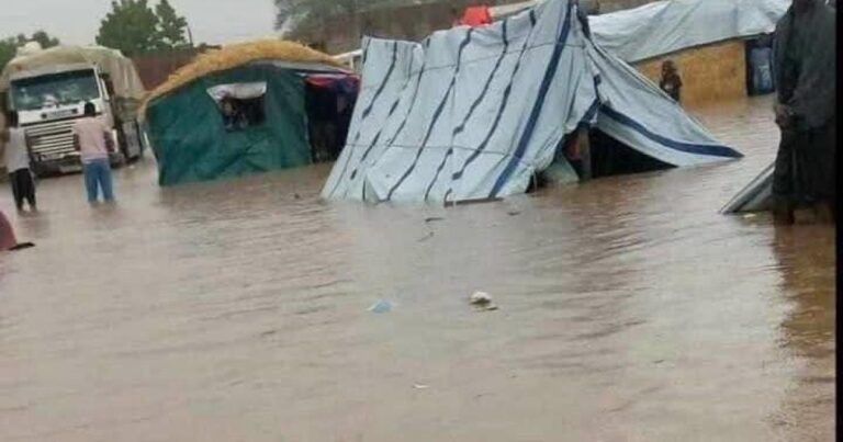 حالة الطقس في فلسطين اليوم الخميس مع أمطار غزيرة وعواصف رعدية متوقعة