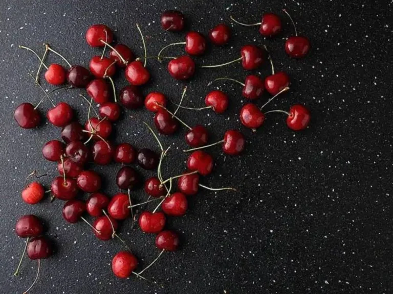 الكرز الداكن يساهم في تقليل نمو أخطر أنواع سرطان الثدي