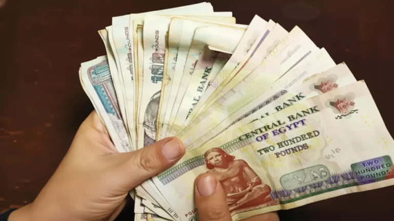 الهيئة القومية للتأمينات الاجتماعية تكشف موعد صرف المستحقات بدءًا من 15 مارس