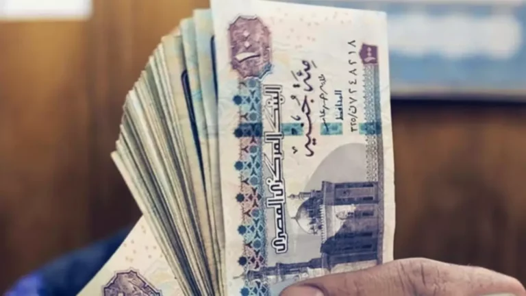 عاجل: نقابة المعاشات تكشف فضيحة قانون 2019… “موظفان في نفس الموقع أحدهما محروم والآخر منتفع”!