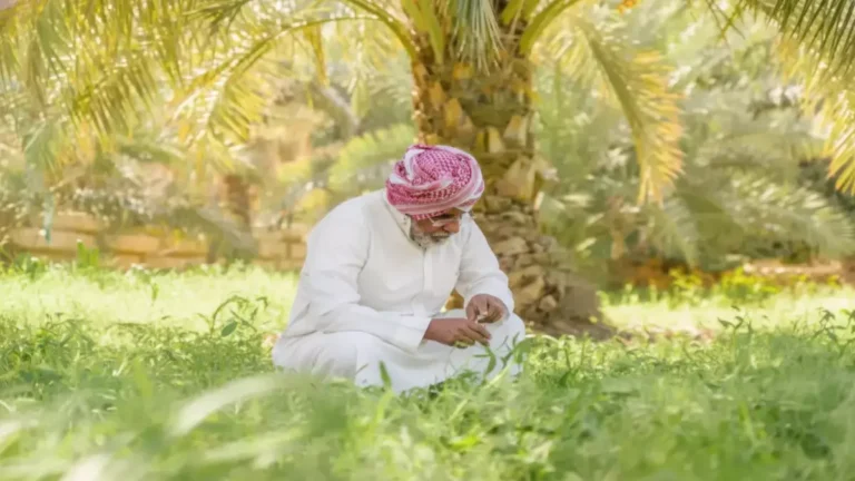 مزارع سعودي يكشف عن ثروة وطنية غير متوقعة بفضل 23 مليون شجرة تتحدى التصورات التقليدية