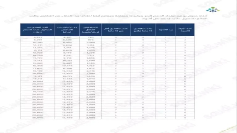 البرنامج الحكومي يكشف عن أهمية دعم الأسرة في السعودية من خلال 10 معايير قوية للتماسك الاجتماعي