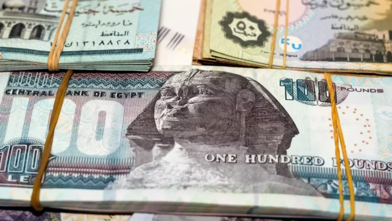 الدولار يتجاوز 52 جنيهاً للمرة الأولى في التاريخ والبنوك تفرض رسوماً غير مسبوقة في ظل أزمة للمصريين