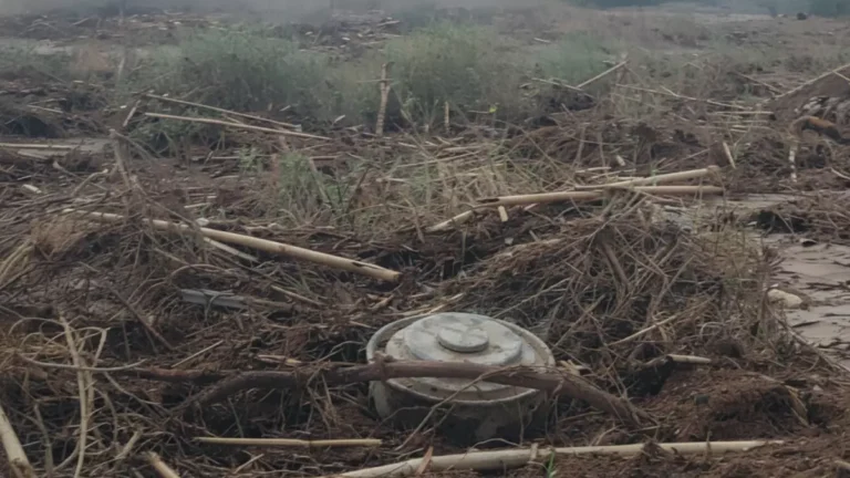 سيول اليمن تتحول إلى تهديدات مميتة مع انزلاق الألغام في 5 محافظات