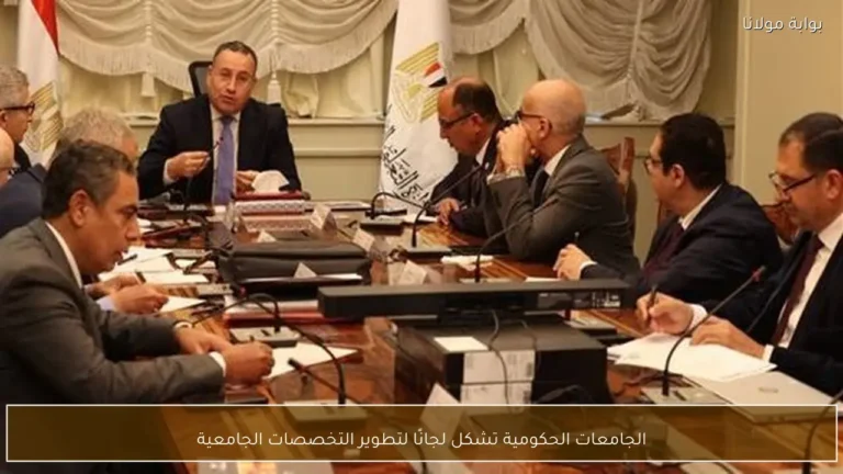 الجامعات الرسمية تشكل لجانًا لتحديث التخصصات الجامعية