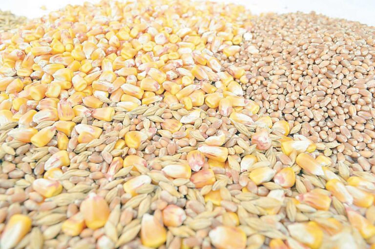 أسعار الأعلاف والخامات في ختام تعاملات الجمعة 27 مارس 2026