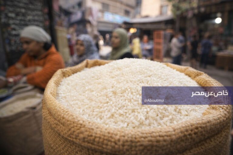 أسعار الأرز في أسواق اليوم الجمعة 17 أبريل 2026.. كيلو الشعير يصل إلى هذا المستوى