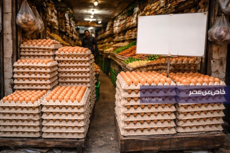 تحديث أسعار كرتونة البيض في مصر اليوم الأحد 19 أبريل 2026 بدءًا من 88 جنيهًا للبيض الأبيض