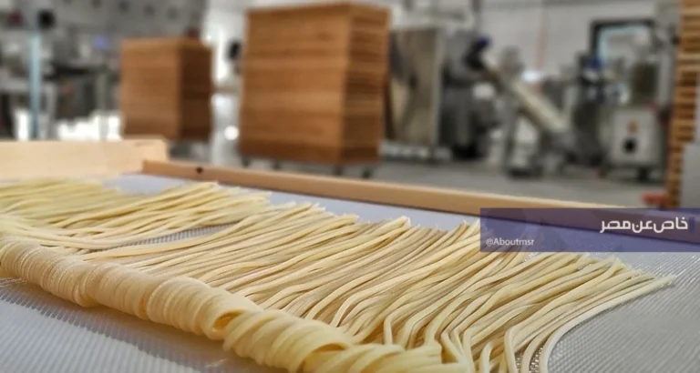 400 ألف فدان من المساحات الجديدة… هل تُدخل مصر زراعة قمح المكرونة إلى آفاق جديدة؟