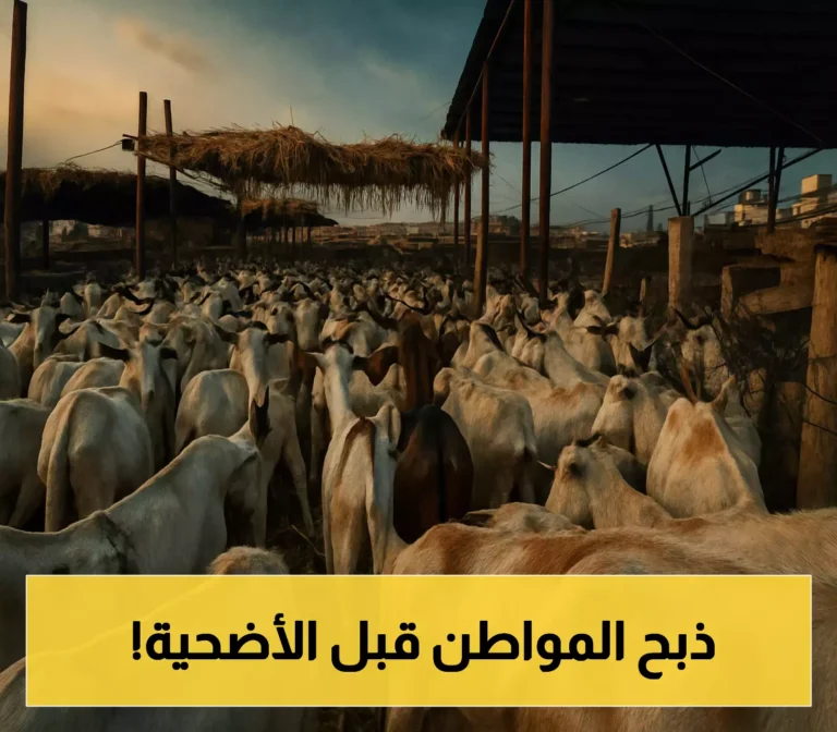 أسعار الأضاحي في عدن تصطدم بميزانيات الأسر وتفوق رواتب الموظفين !