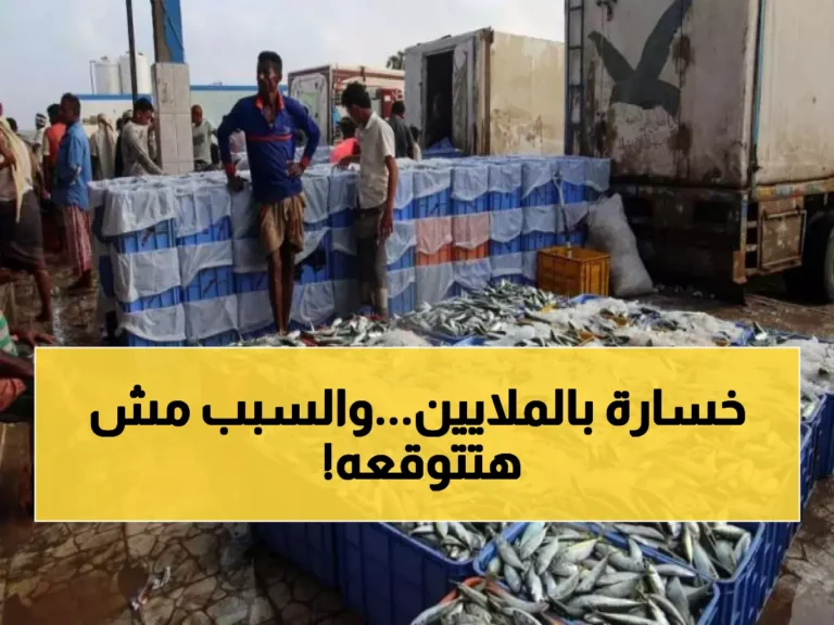 مأساة لقطاع الصيد في اليمن: فقدان 10,000 طن من التونة وصادم الأسباب وراء ذلك