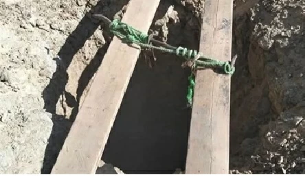 اكتشاف صادم في مزرعة زيتون مصرية: قصة من حفروا للكنز فوجدوا أنفسهم تحت الأرض