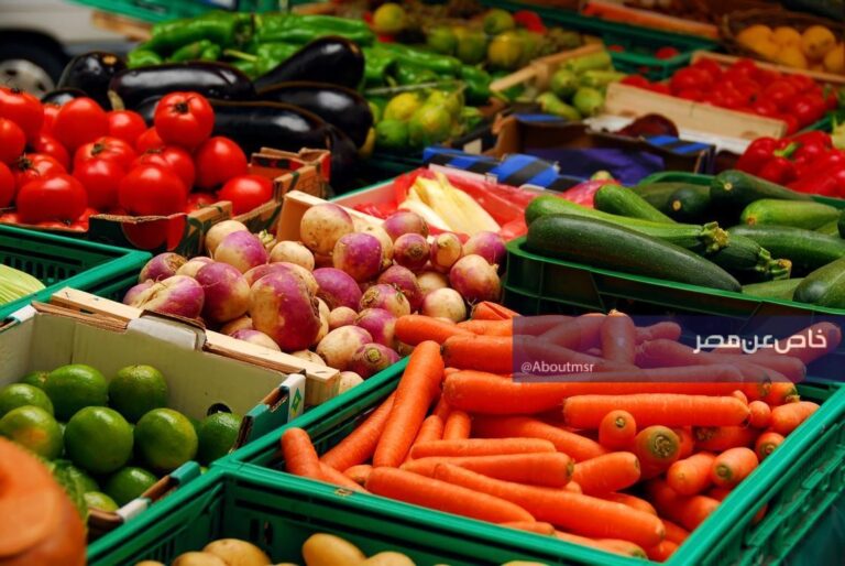 تحديثات أسعار الخضروات والفواكه ليوم الجمعة 17 أبريل 2026.. الكوسة بسعر 20 جنيه والفراولة بـ15 جنيه