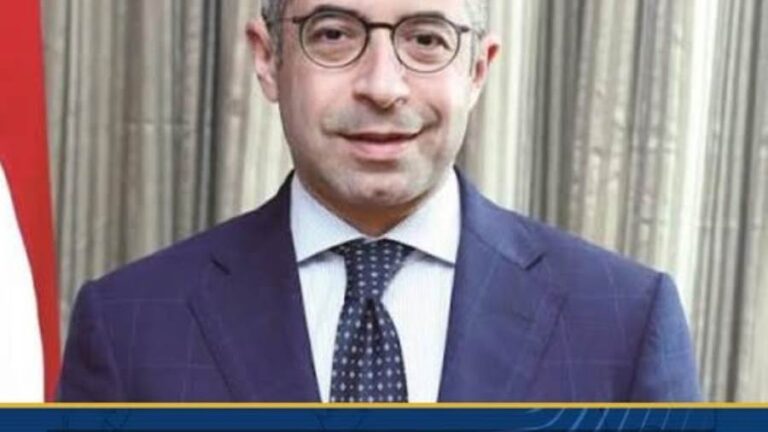 مصر تتعاون مع المجموعة العربية والأفريقية ومجموعة الـ77 والصين في إطار جديد