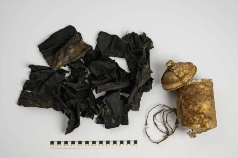 كنز مذهل في علبة صغيرة يكشف النقاب عن الذهب والمجوهرات المدفونة