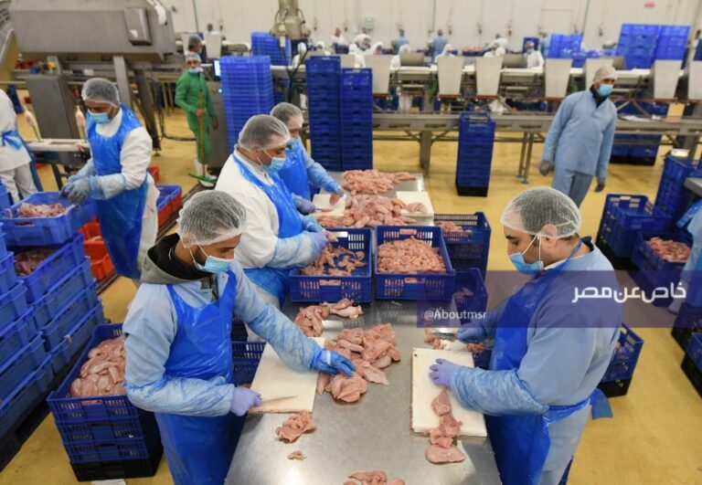 مصر تحقق صادرات غذائية تتخطى المليار دولار في شهرين والسعودية تتصدر قائمة المستوردين