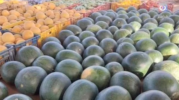 بطيخة بسعر 200 جنيه.. خبير زراعي يكشف عن انخفاض الأسعار قريباً مع تحسن الأحوال الجوية وزيادة الكمية المتوفرة