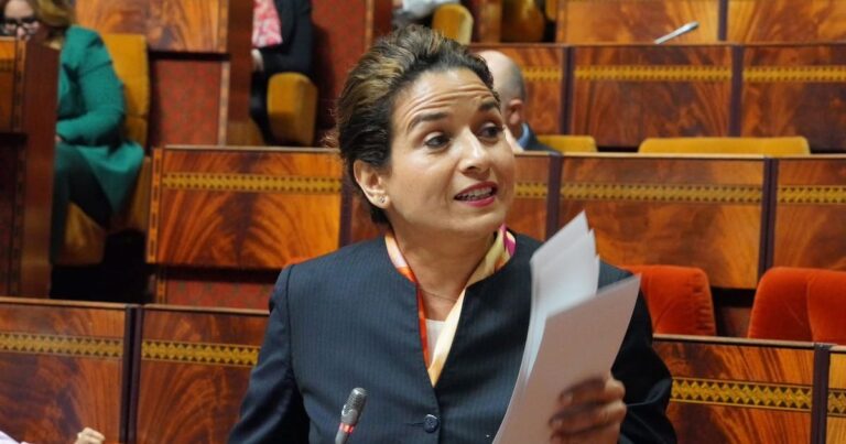 المخزون الوطني من البنزين يكفي لمدة 49 يوماً مع جهود لت diversifiy مصادر الاستيراد