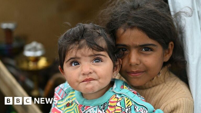 أطفال يتعرفون على أشكال الطائرات قبل الفواكه! حكايات الحروب الممتعة