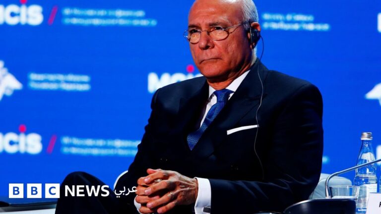 استشاري سياسي جديد للسيسي يكشف عن تحول حقيقي أم مجرد دلالة؟