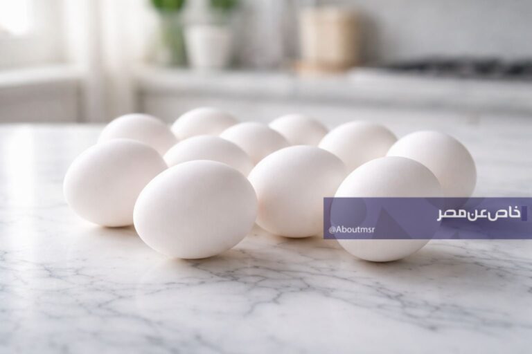 أسعار كرتونة البيض في مصر اليوم الأربعاء 15 أبريل 2026 وما تحتاج معرفته الآن