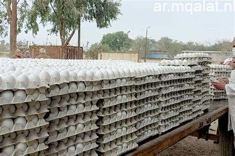 أسعار البيض في كفر الشيخ تصل إلى 100 جنيه لكرتونة اليوم 19 أبريل 2026