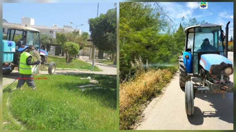 مكافحة الحشرات في المنستير تواصل تعزيز جهودها باستخدام المبيدات الكيميائية