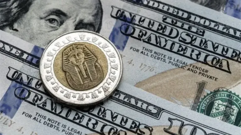 تراجع جديد للدولار في البنوك المصرية مع استقرار محدود في أسعار الصرف