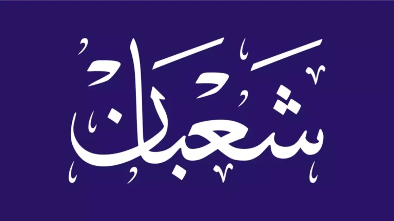 واتساب يقدم لأول مرة اشتراك شهري مفاجئ بأسعار غير متوقعة!