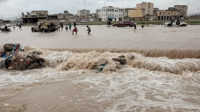 الأمم المتحدة تحذر من أزمة مروعة تهدد اليمن… 1.7 مليون حيوان معرض للخطر!