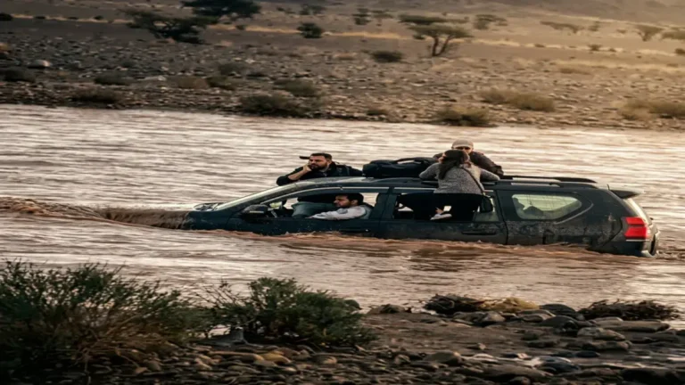 تقرير دولي صادم يبرز أزمة إنسانية في اليمن مع مقتل وإصابة 77 شخصاً وتشريد 12 ألف عائلة في شهر واحد