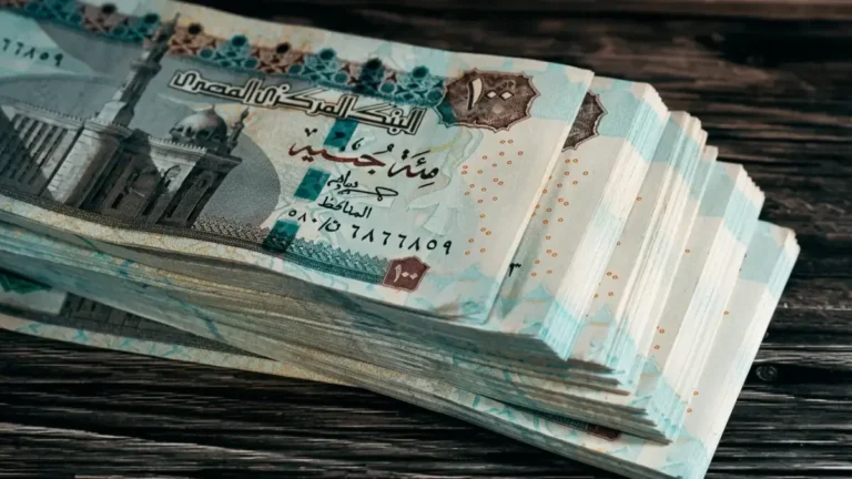 الحكومة المصرية تحدد موعد صرف معاشات مايو 2026 مع توضيح خطوات الاستعلام الإلكتروني والقنوات الرسمية