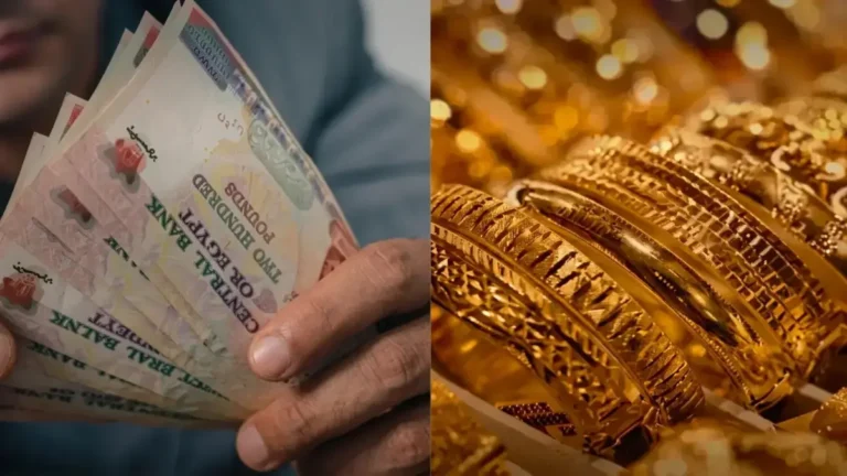 البنك الأهلي يقدم عائدًا استثنائيًا 15.1% لتأمين مستقبلك المالي